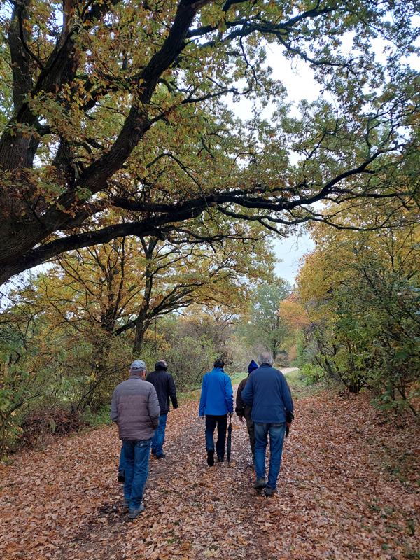Es wird Herbst